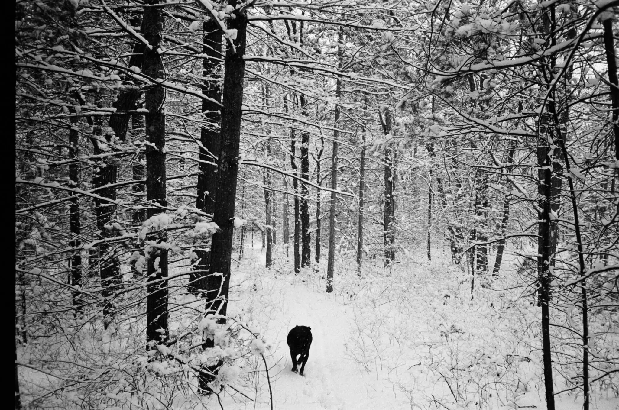 Developed and scanned by UK Film Lab