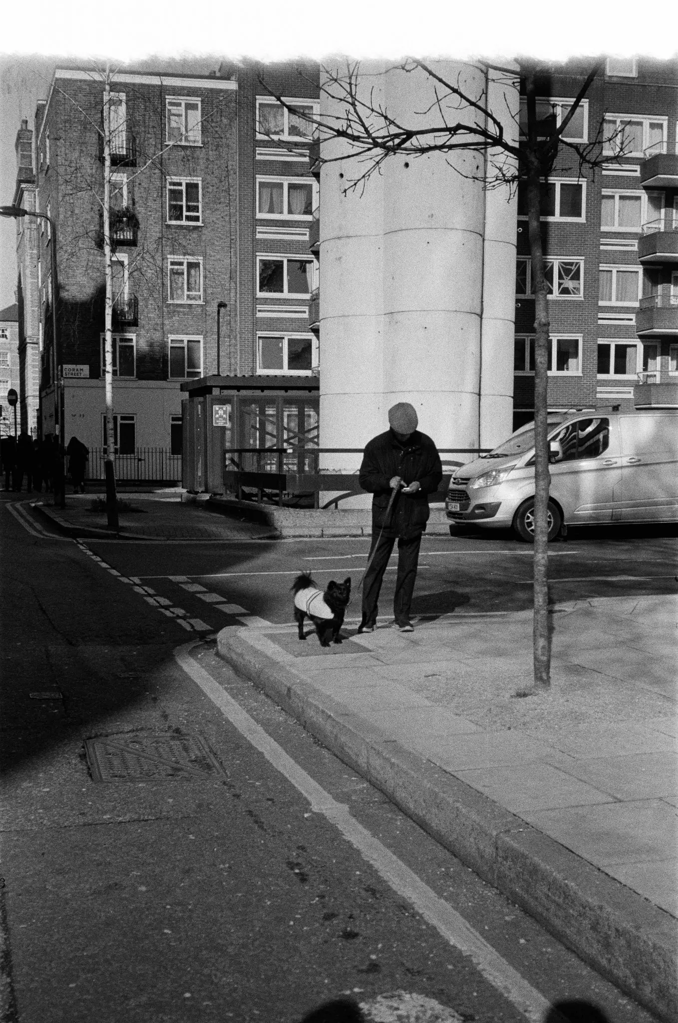 closeup photo of flower