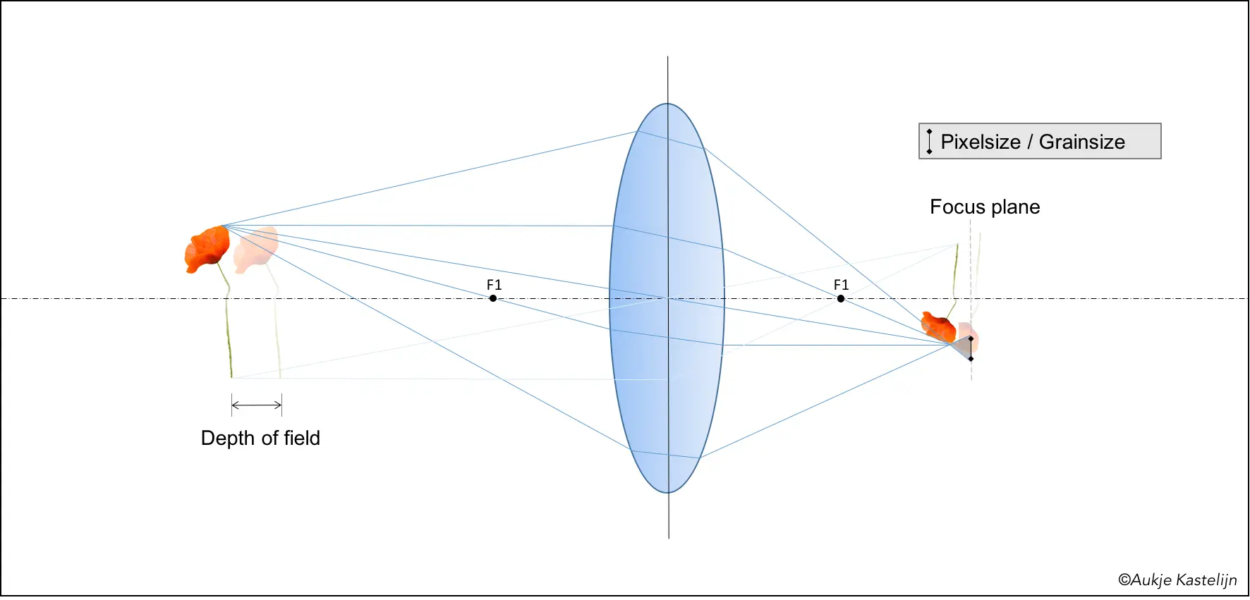 ivanlomba_winmyleica