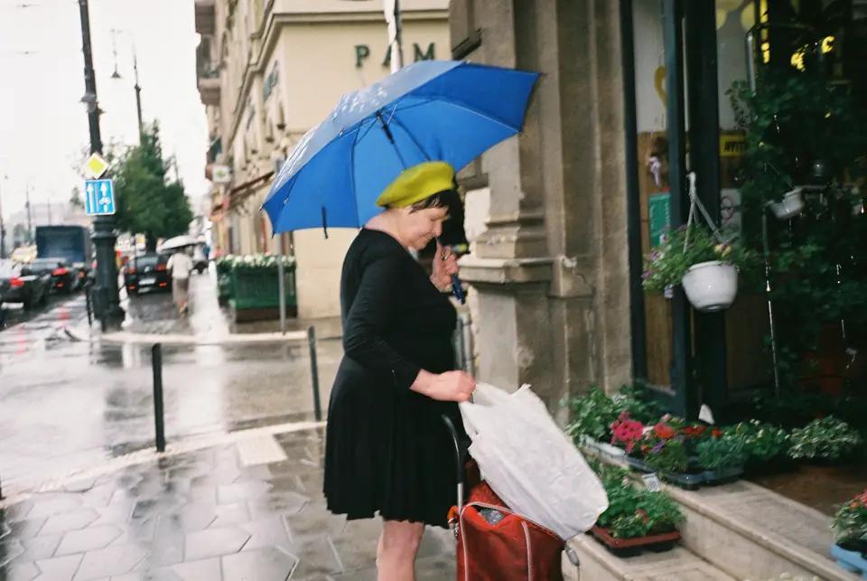 11953790696_786186e94b_b