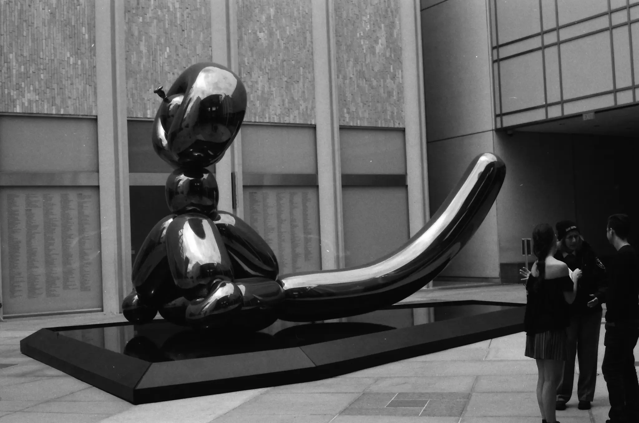 Taken on revue 35FC (aka Halina Micro 35) with Ilford XP2