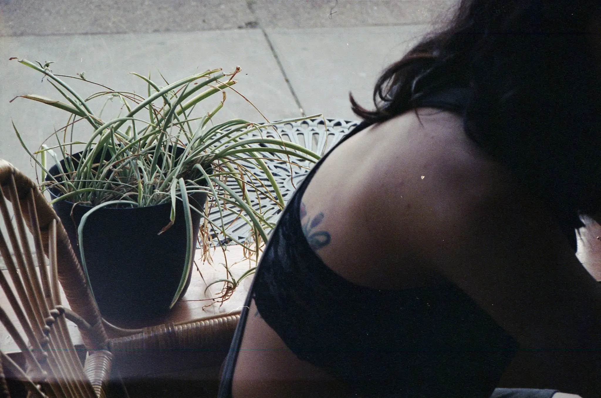 Plaubel Makina 670 - Ray Larose