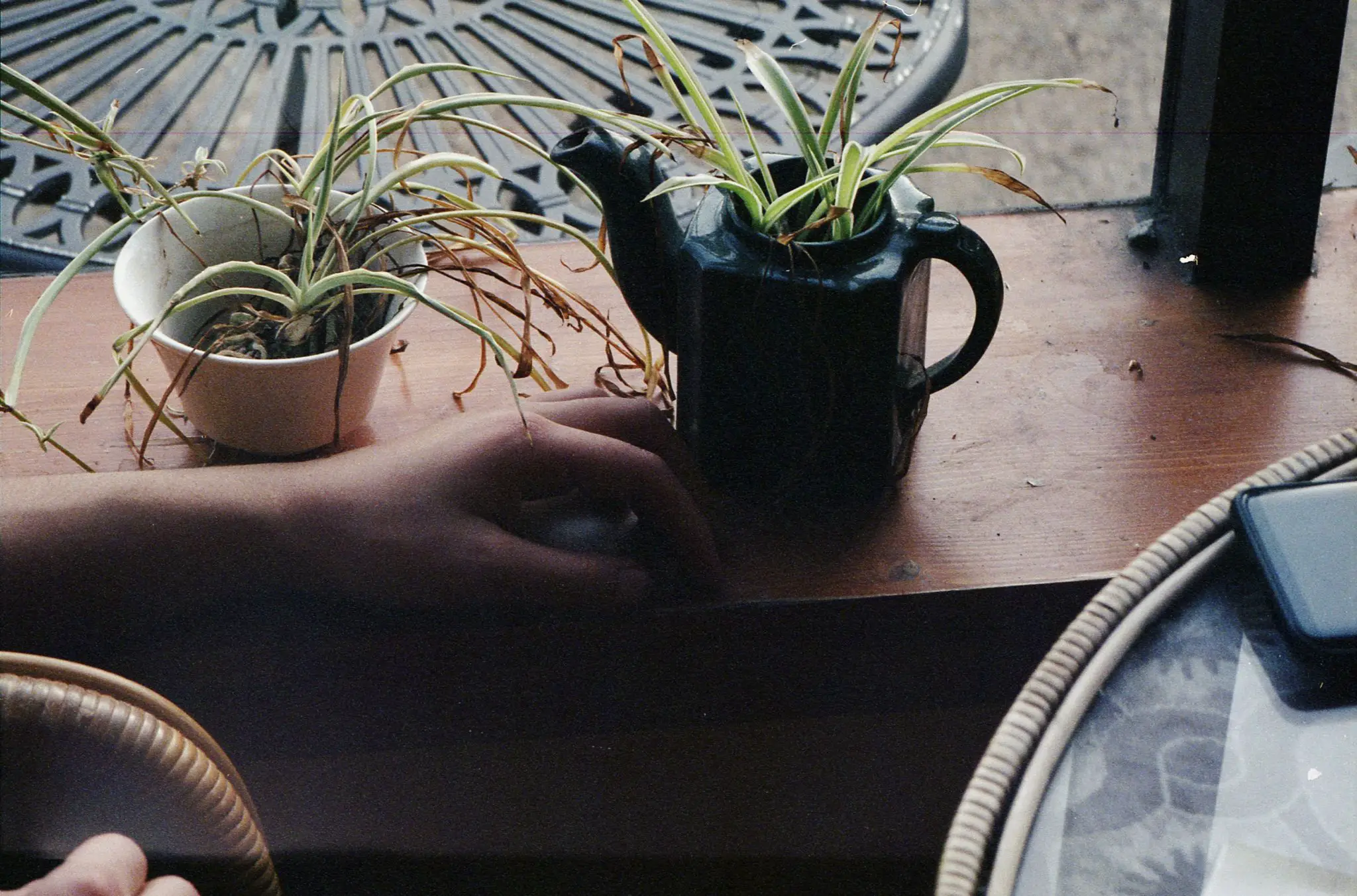 Plaubel Makina 670 - Ray Larose