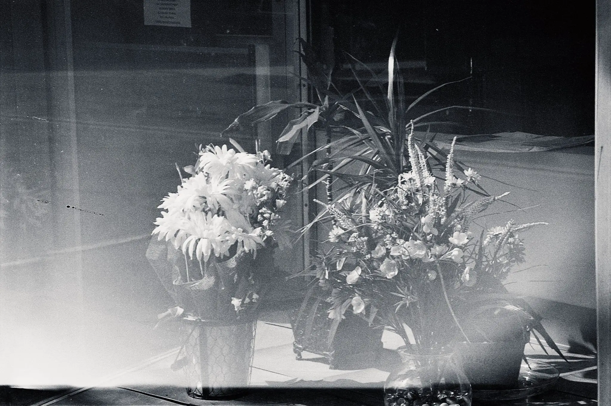 Plaubel Makina 670 - Ray Larose