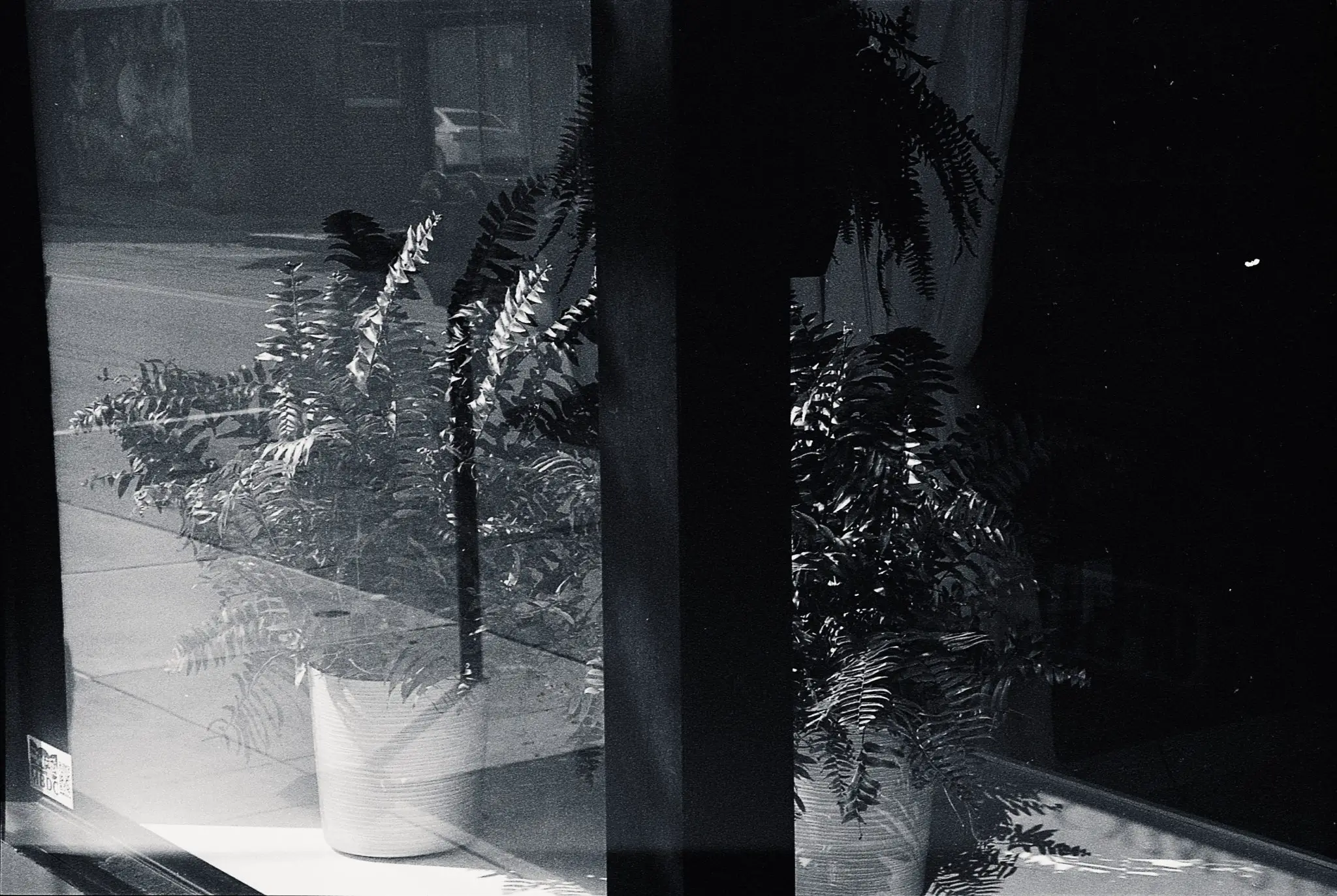 Plaubel Makina 670 - Ray Larose