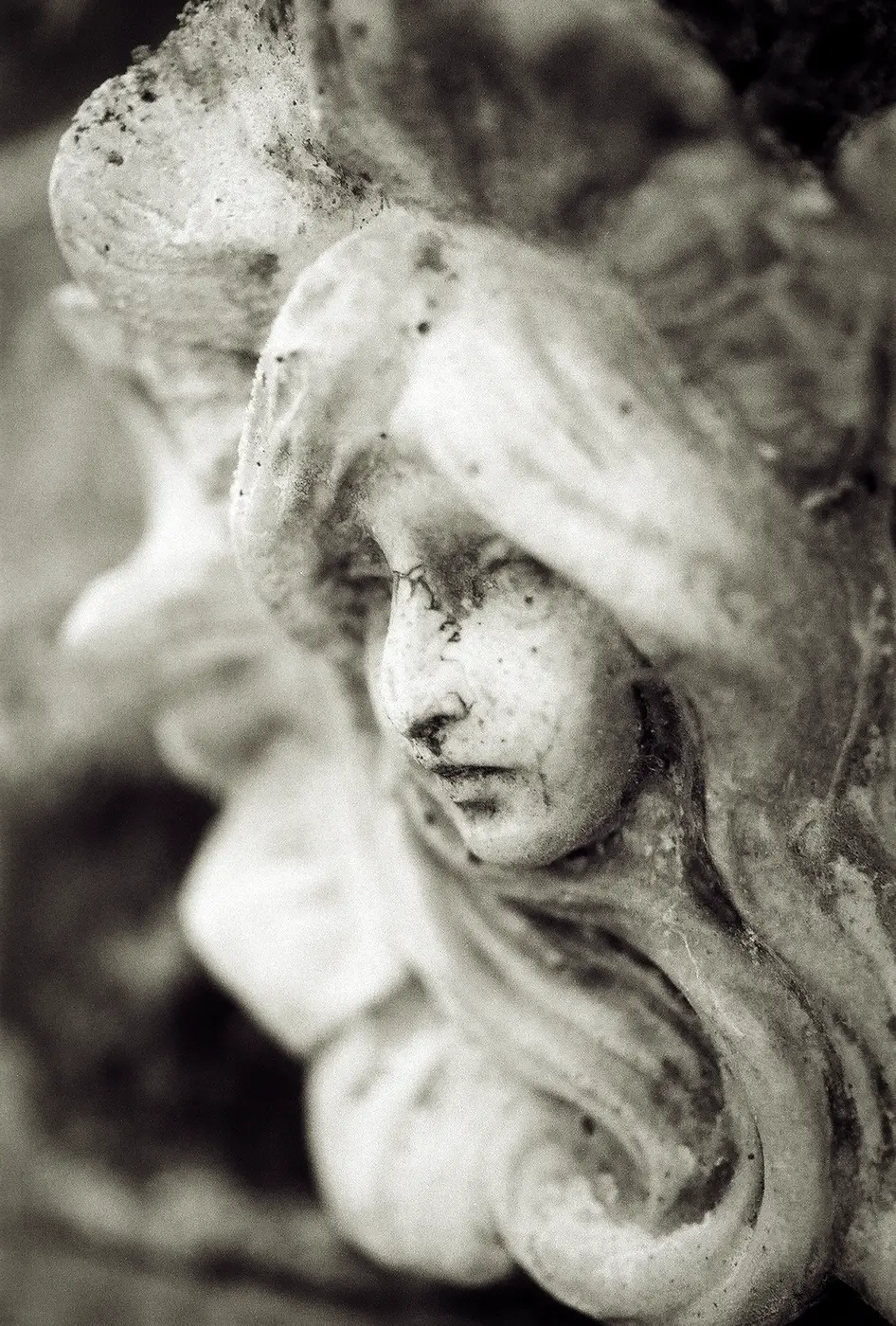 LCD screen of Fujifilm Zoom Date camera