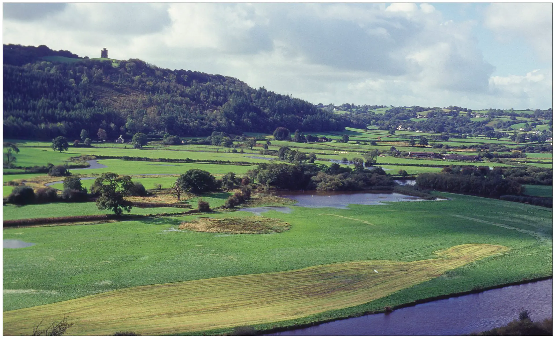 LCD screen of Fujifilm Zoom Date cameras
