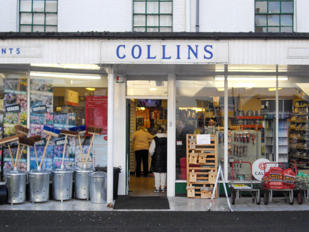 The moon over some trees