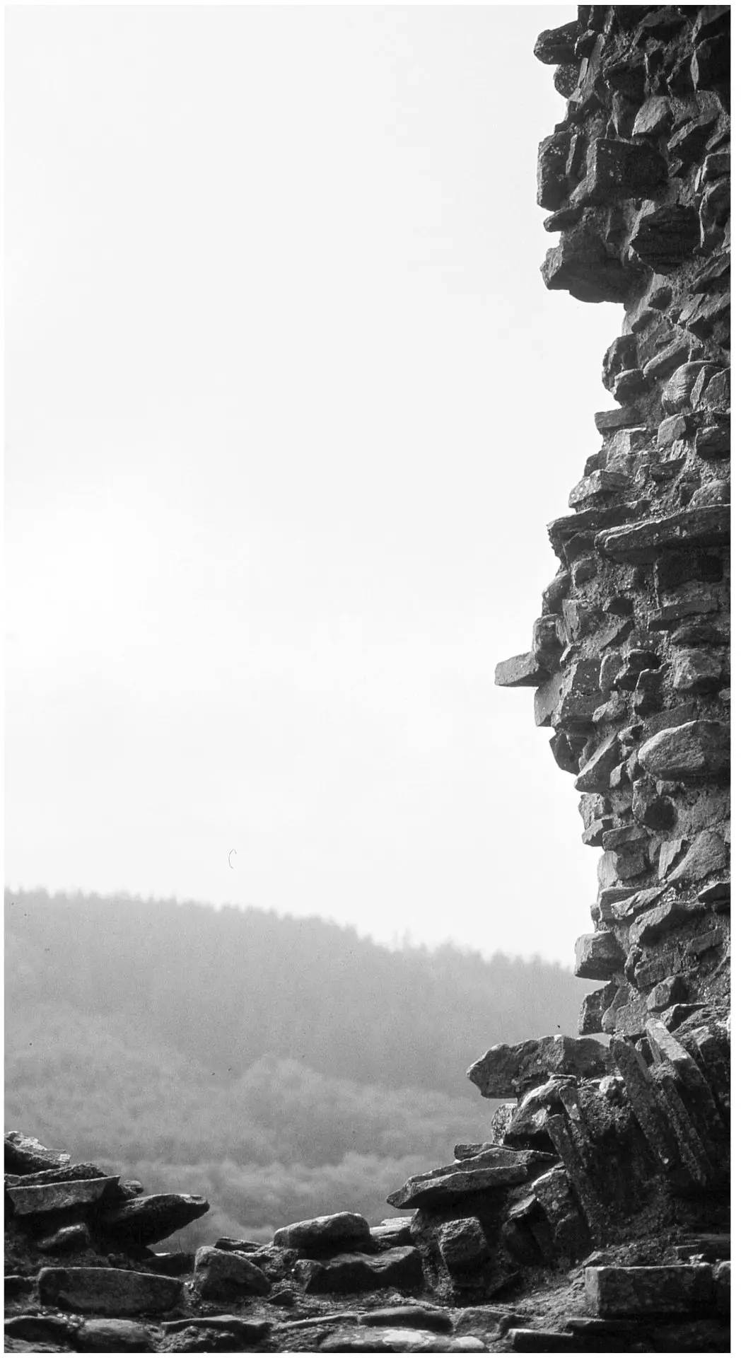 Three Fujifilm Zoom Date cameras