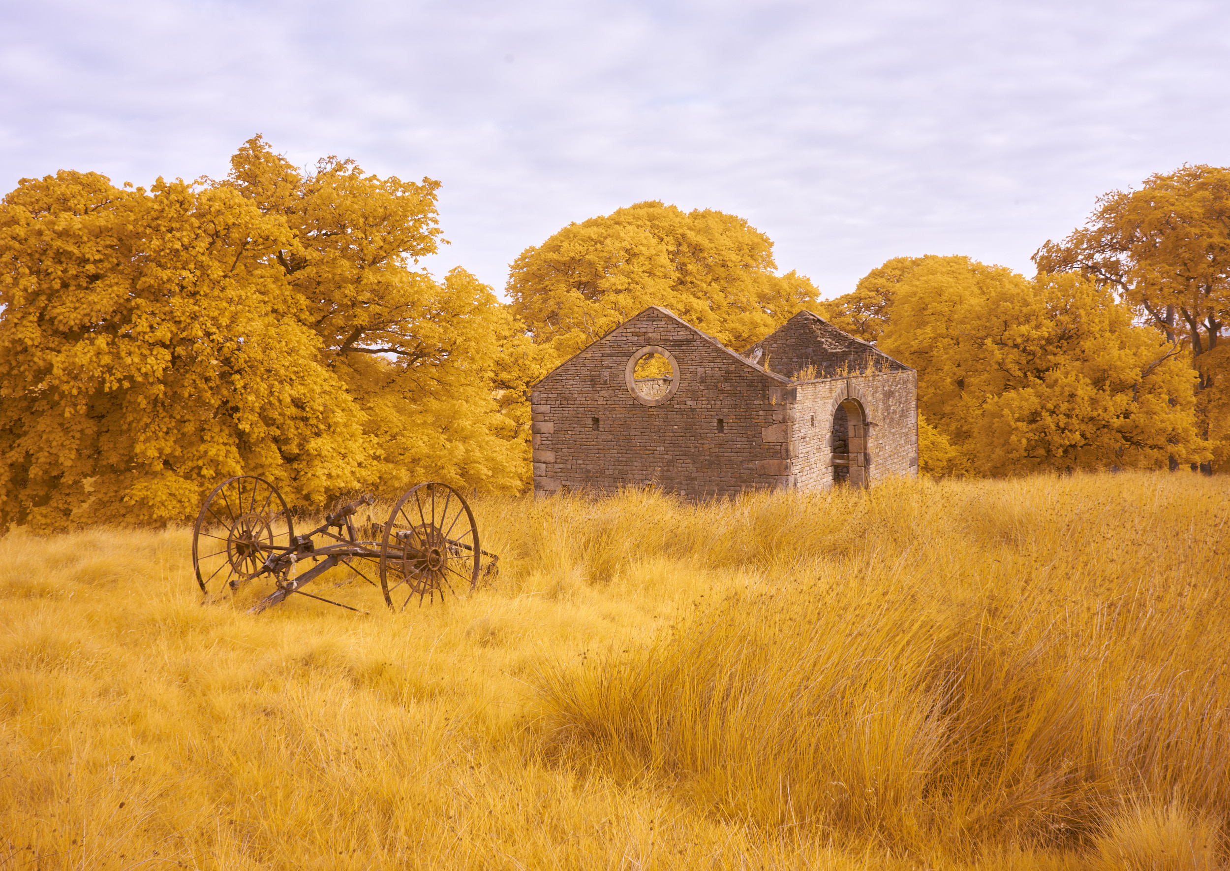 Two side-by-side images of a tree with house in the background