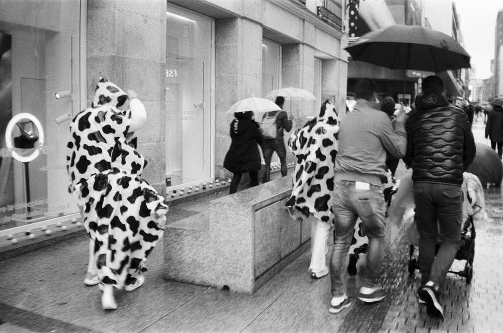 A rainy afternoon in Madrid