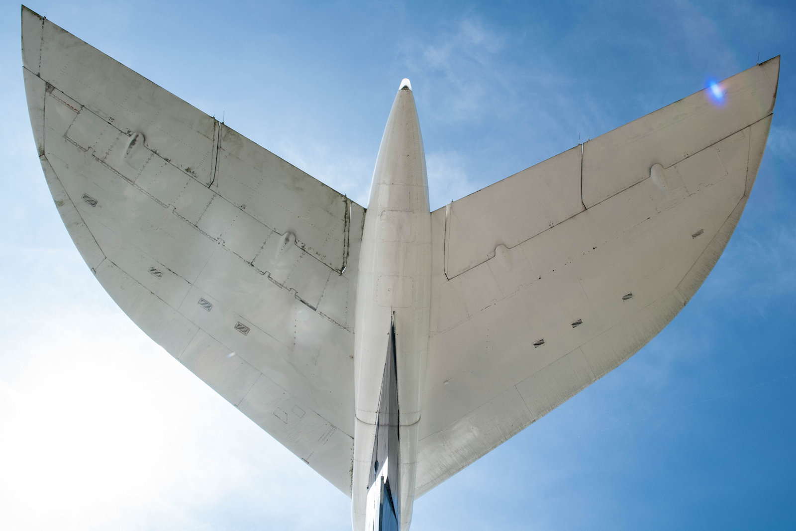 Cinestill 800T Daytime