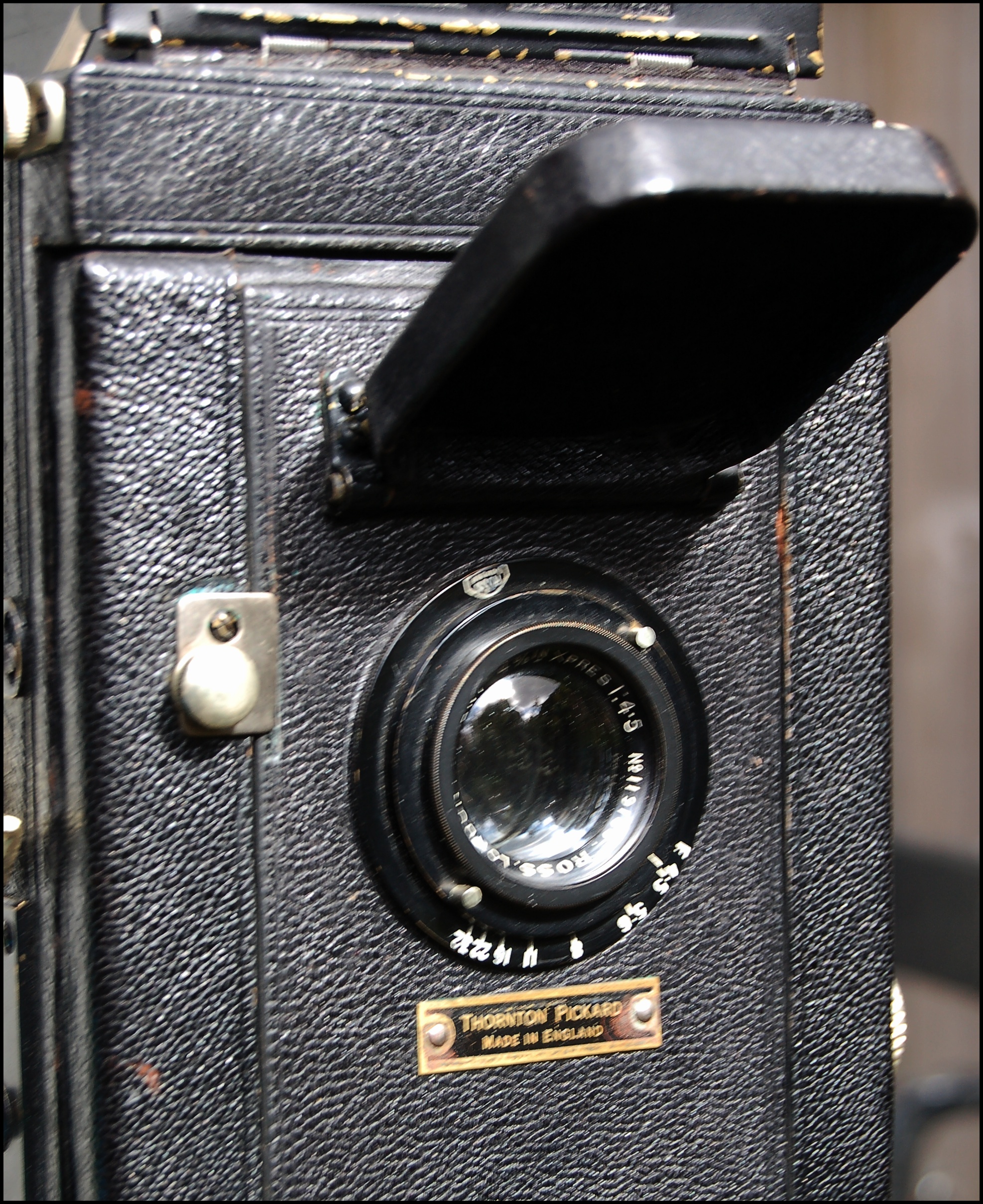 yashica electro35 gt 作品例あり YASHICA ELECTRO35 GT - マニュアルカメラ・レンズの操作は
