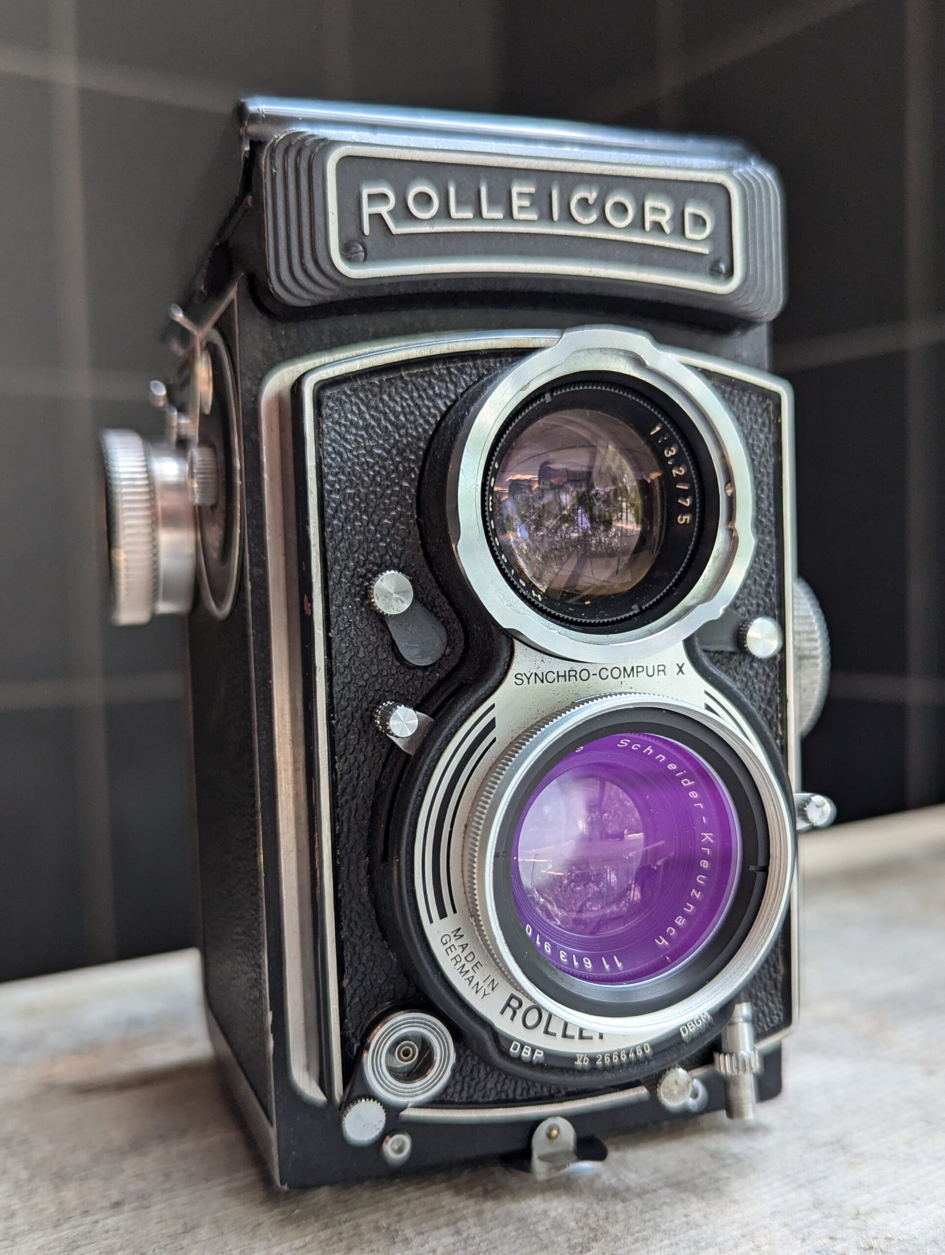 Cameradactyl Back