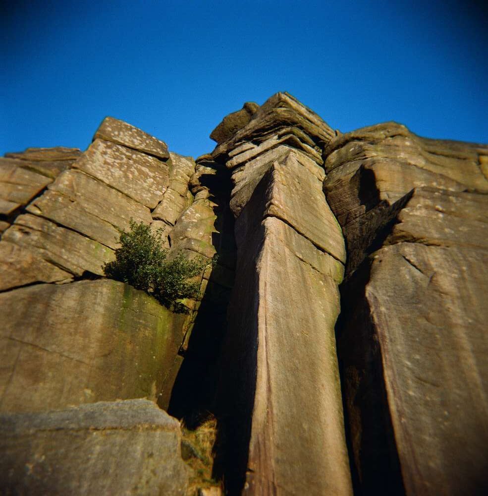 Stanage edge rocks with holly bush