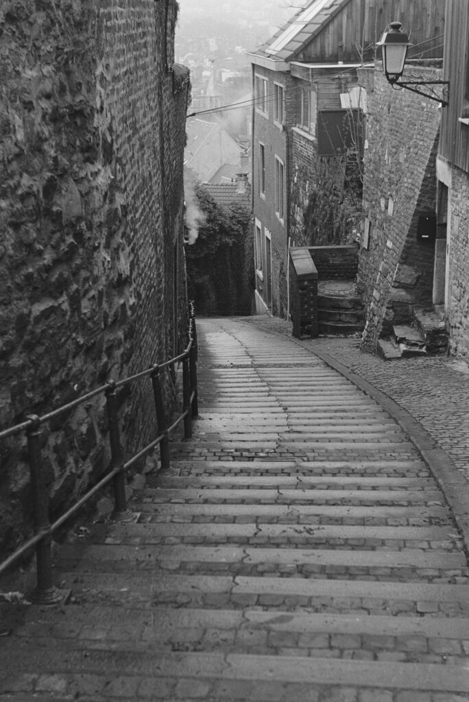 Liege Leica iiig Elmar