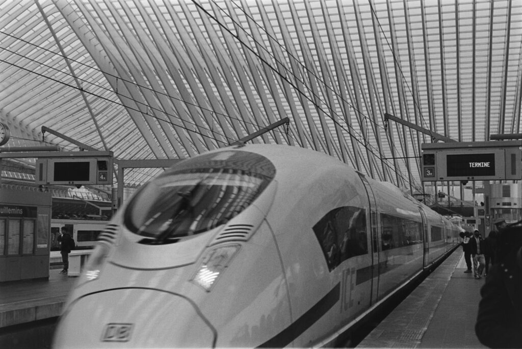 Liege Leica iiig Elmar