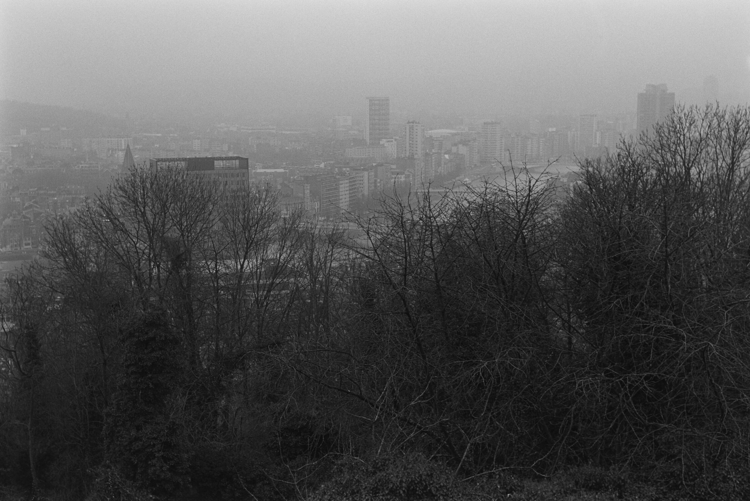 Liege Leica iiig Elmar