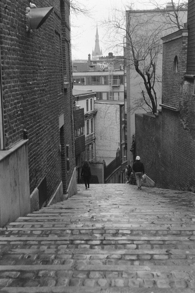 Liege Leica iiig Elmar