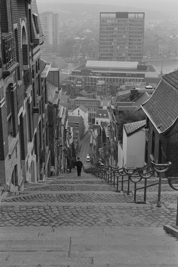 Liege Leica iiig Elmar
