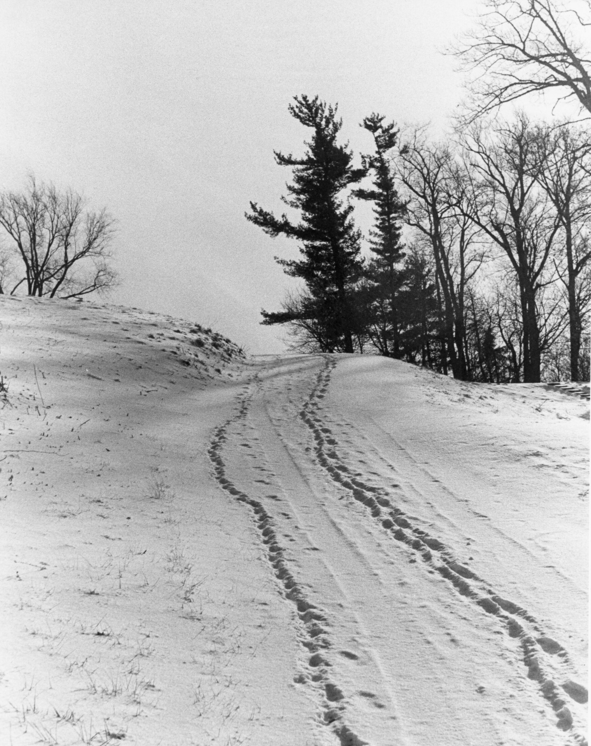 Kodak Automatic 35F camera