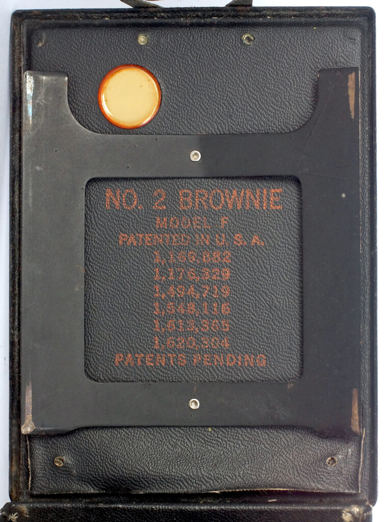 Information panel behind pressure plate inside camera back.