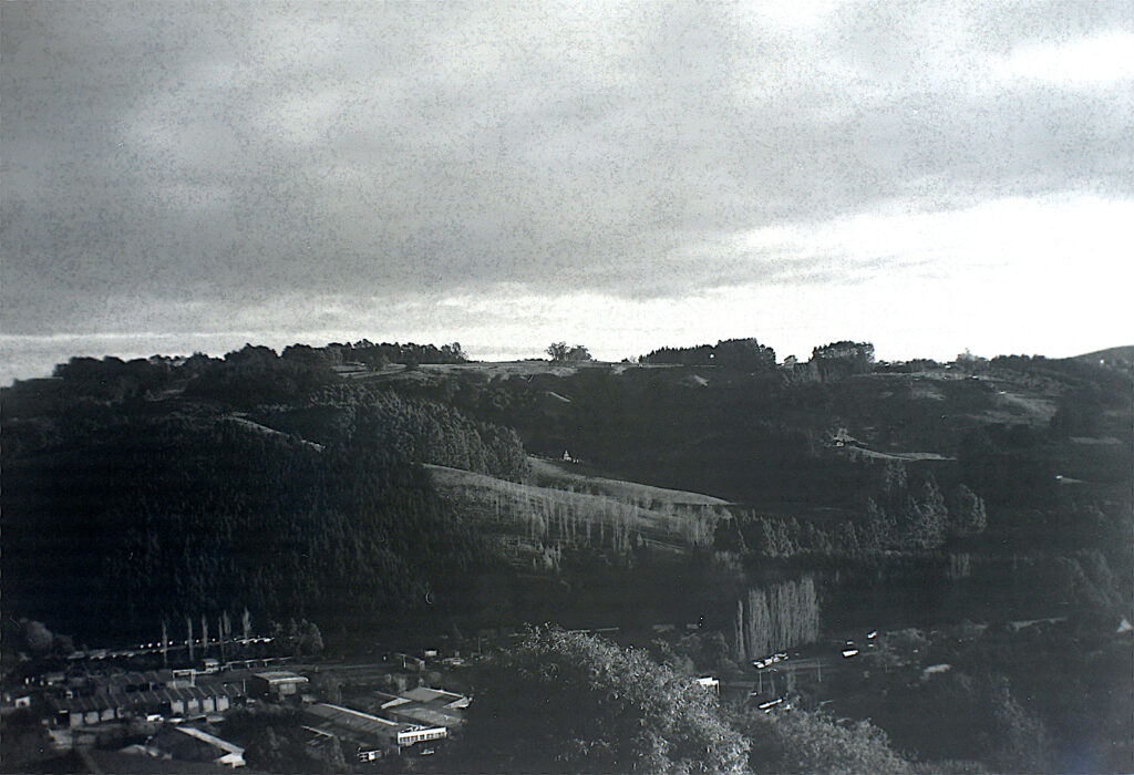 Unfiltered shot from a thin negative.