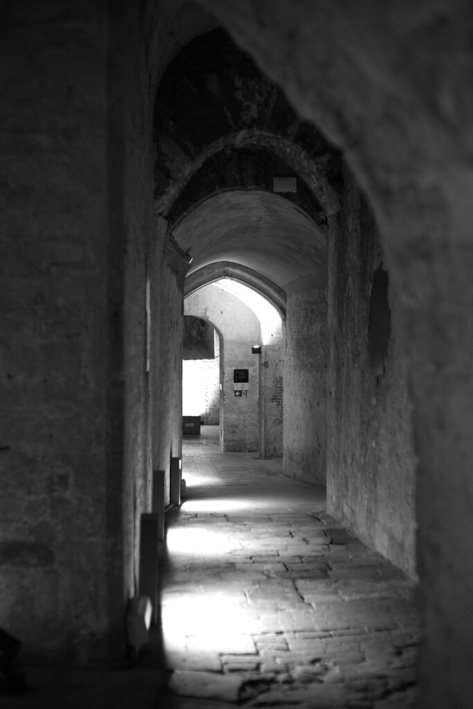Coudenberg Palace Zeiss Sonnar