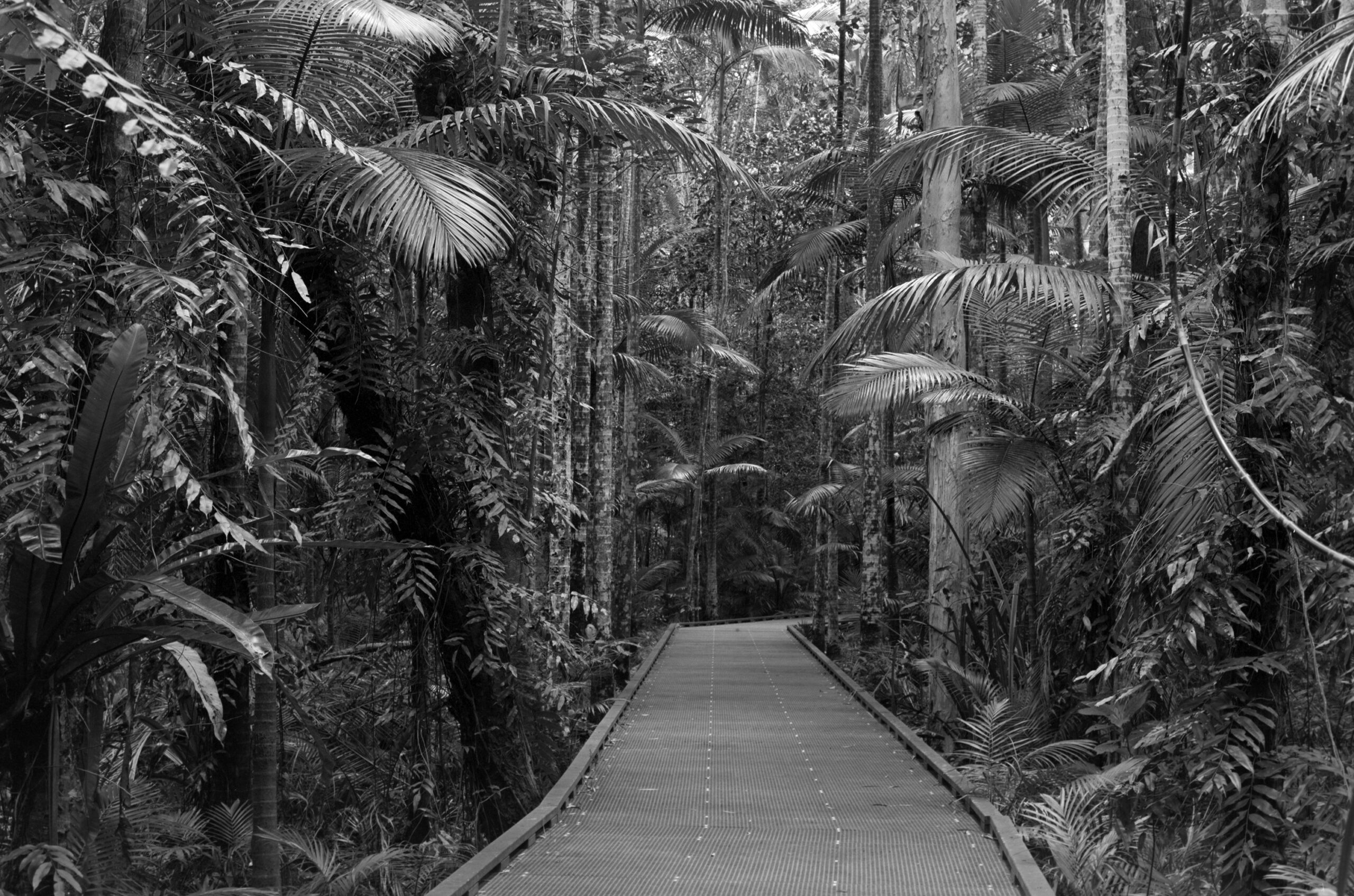 Boardwalk