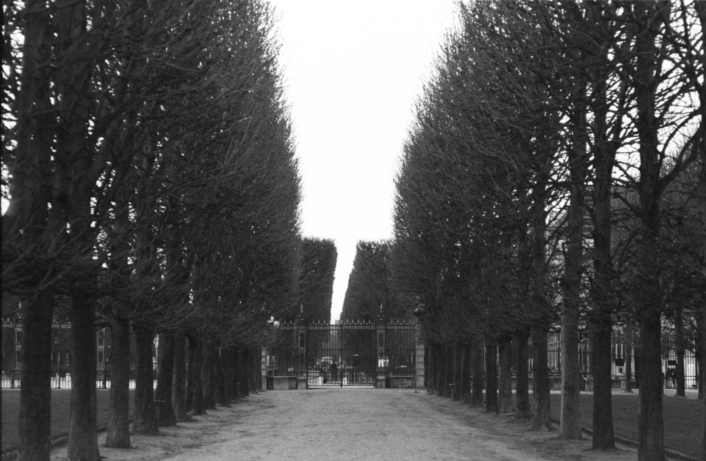 Paris in fall