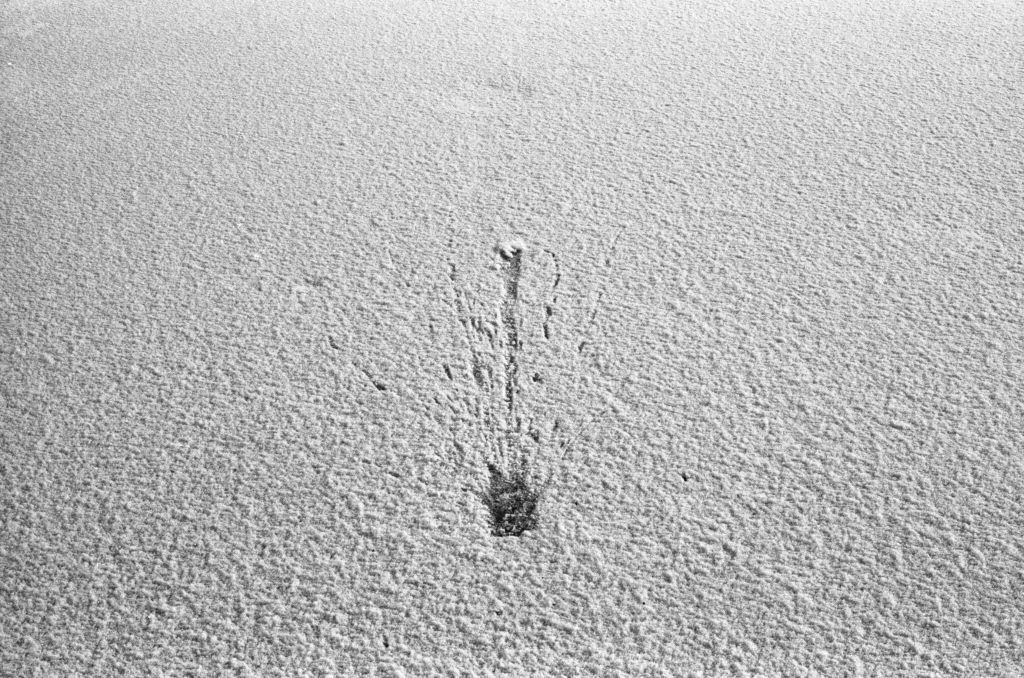 Traces