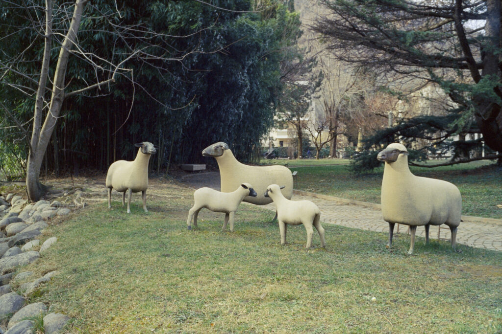 Sheeps and Lambs sculpture by François-Xavier Lalanne photographed at the Gianadda foundation (Martigny - Switzerland) with a Minox 35 GT and Silbersalz 500T film