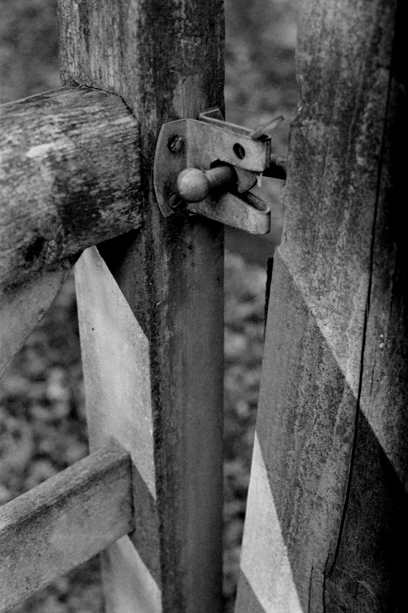 APS in a 35mm film holder