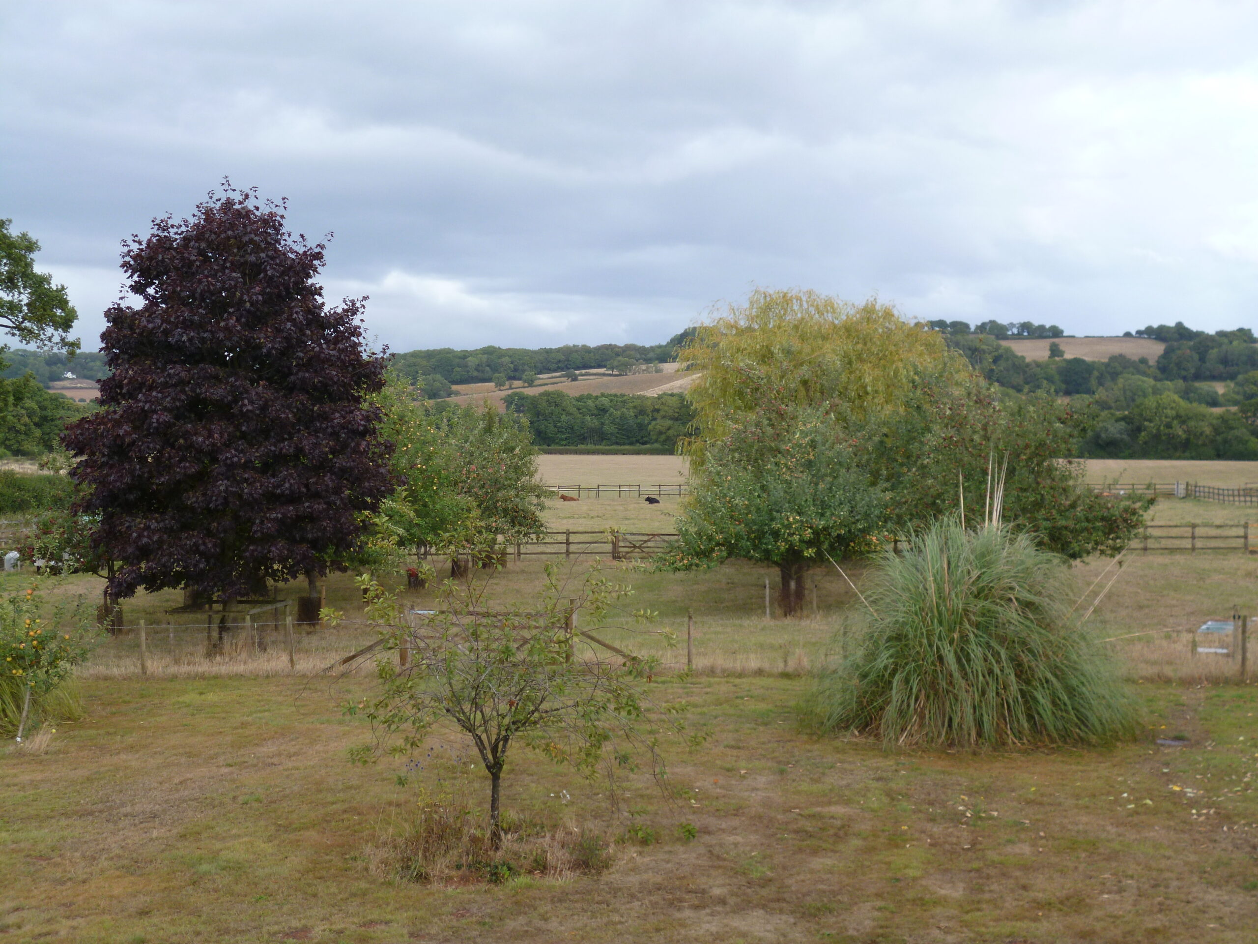 A subway station on Kodak Portra 400 during the golden hour