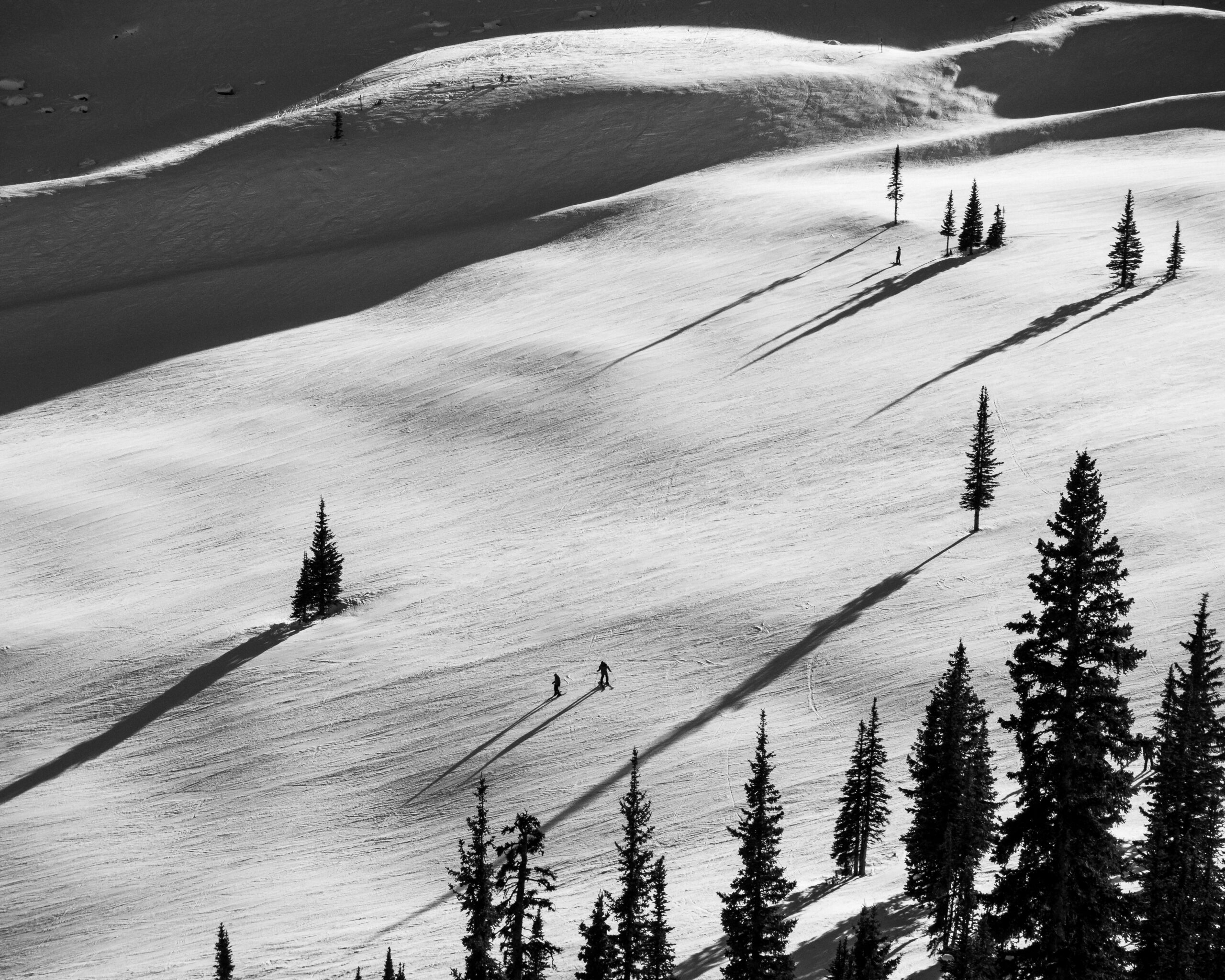 A black & white photo of a two skiers on a ski slope, with long afternoon shadows.