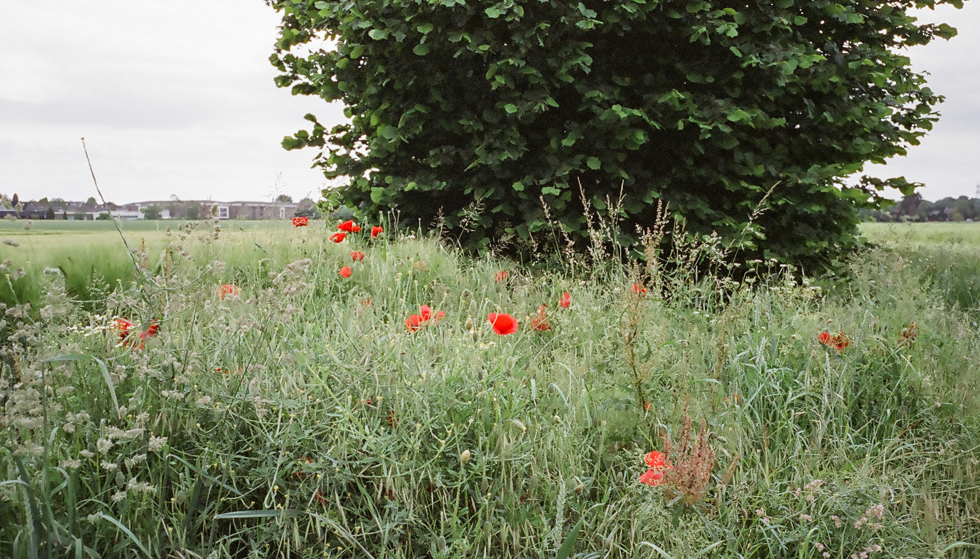 A woman walks among buildings around Mercatorplein, Amsterdam.