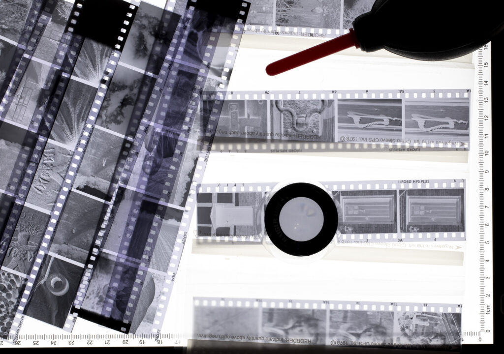 Negatives on a lightbox
