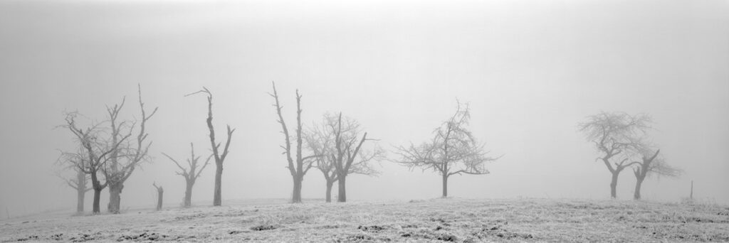 Galgenhuegel cripples