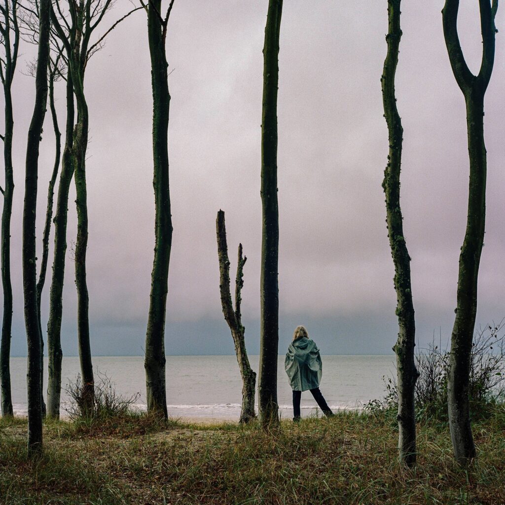 Forest, woman, sea, sunset