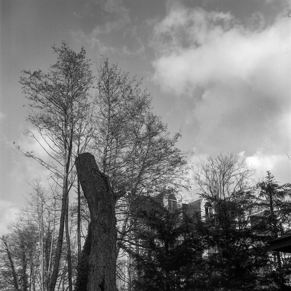 Elmar 9cm f/4 extended, IUFOO hood