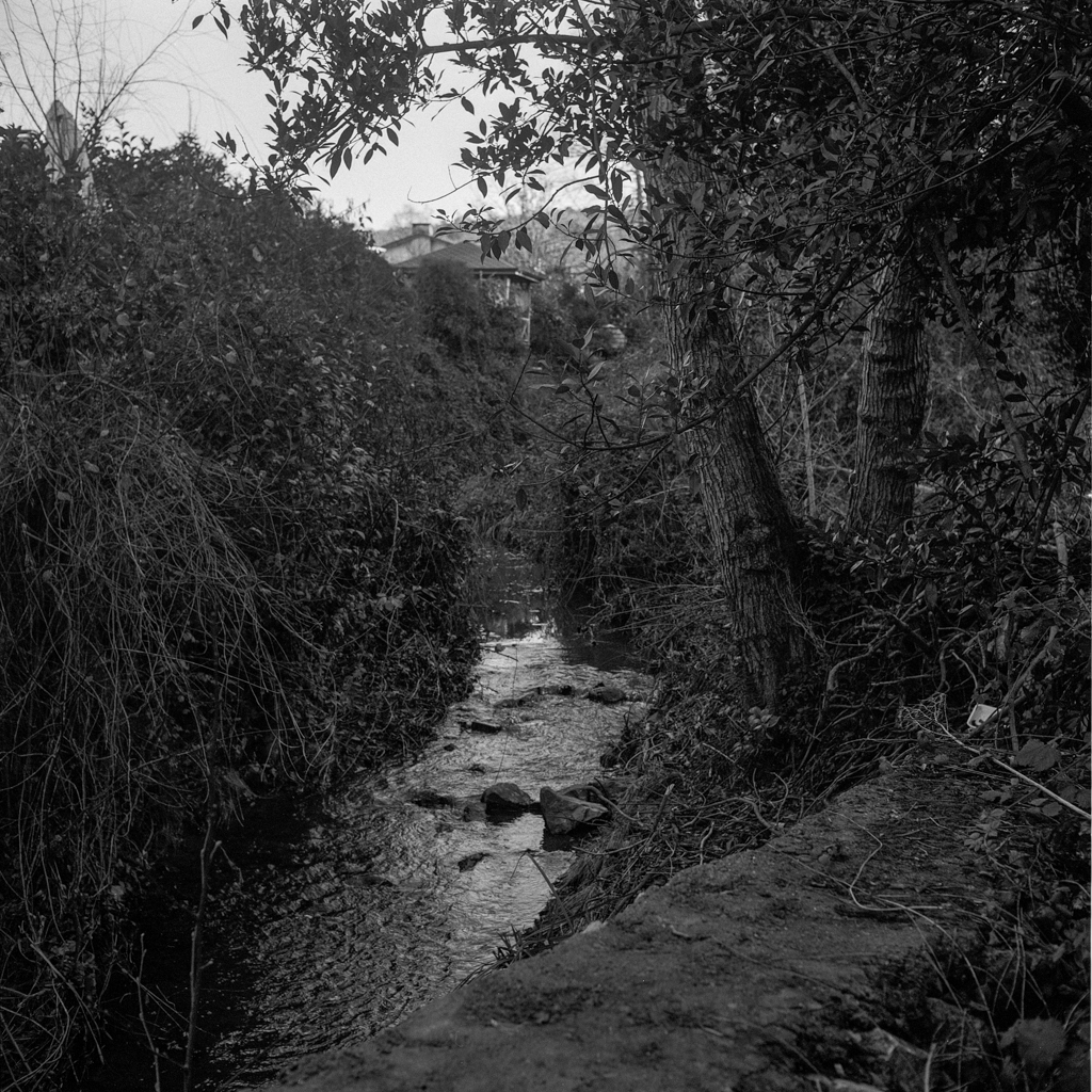 Elmar 9cm f/4 collapsed with reverse-mounted hood and caps