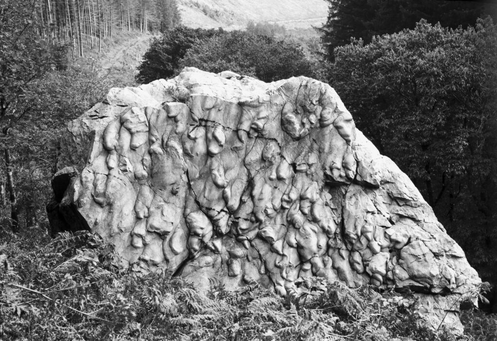 The Drinking stone, a large boulder in the Hafren Forest Wales