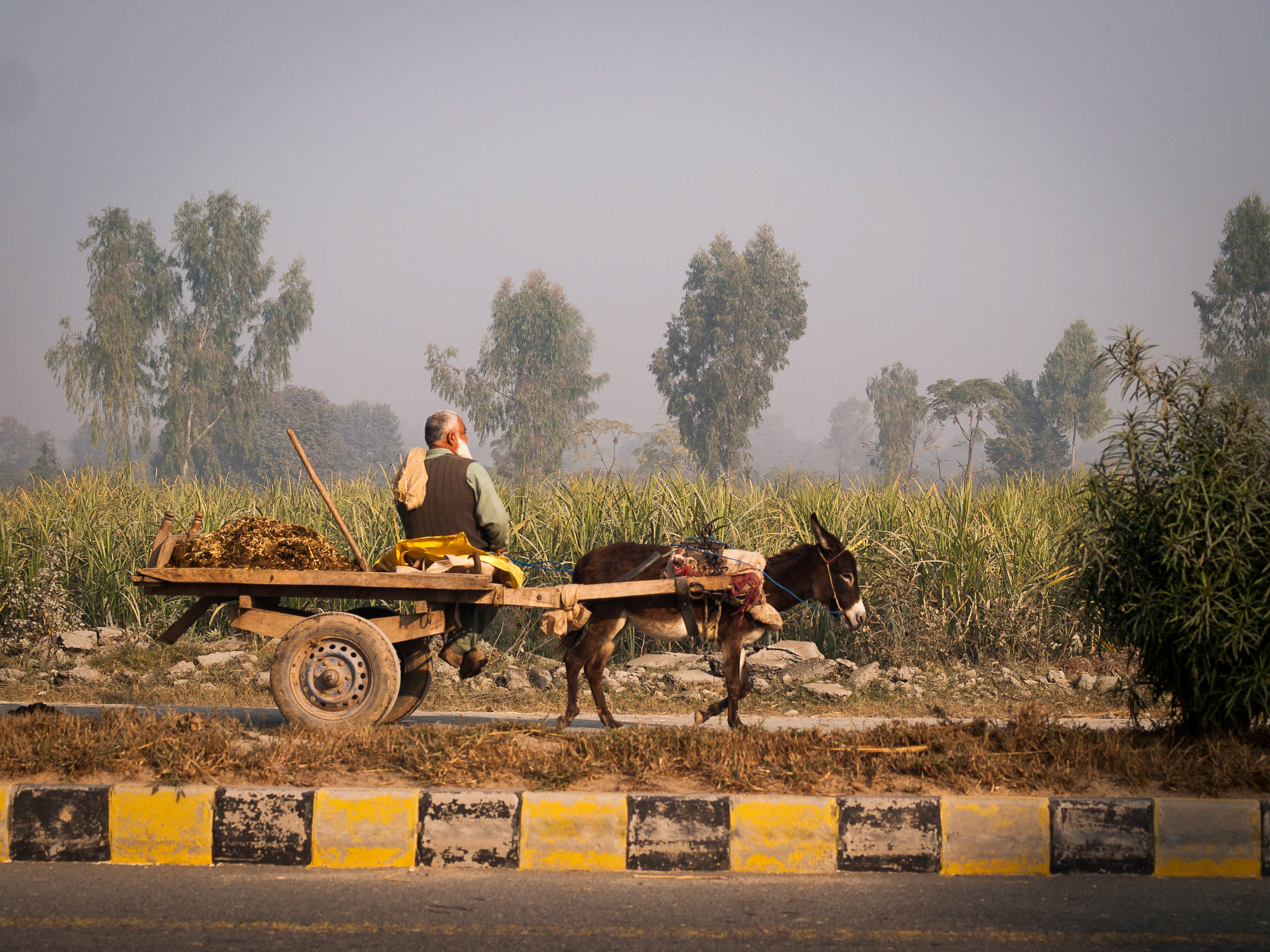 Elmar 9cm f/4 extended mounted on a Leica M Monochrom typ 246